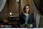 ‘Harry Potter And The Deathly Hallows: Part 1′ Stills