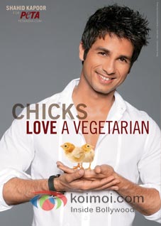 Shahid Kapoor's Love For Chicks