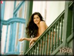 Katrina Kaif Ek Tha Tiger Movie Wallpaper 2