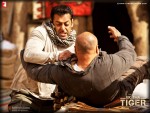 Salman Khan Ek Tha Tiger Movie Wallpaper 1