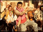 Salman Khan Ek Tha Tiger Movie Wallpaper