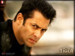Salman Khan Ek Tha Tiger Movie Wallpaper 4