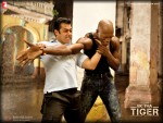 Salman Khan Ek Tha Tiger Movie Wallpaper 9