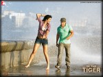 Salman Khan and Katrina Kaif Ek Tha Tiger Movie Wallpaper 10