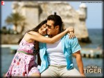 Salman Khan and Katrina Kaif Ek Tha Tiger Movie Wallpaper 5