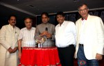 Raj Purohit, Bharat Bhai Shah and Niranjan Hiranandani At Hardik Hundiya's 1st International Diamond Day Celebration