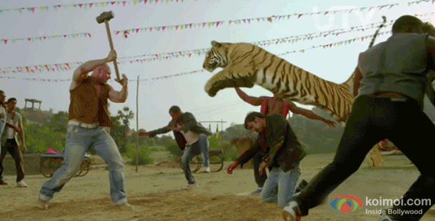 What Would Have Happened Had These 4 Animals Hadn't Signed These 2013 Movies?  - Koimoi