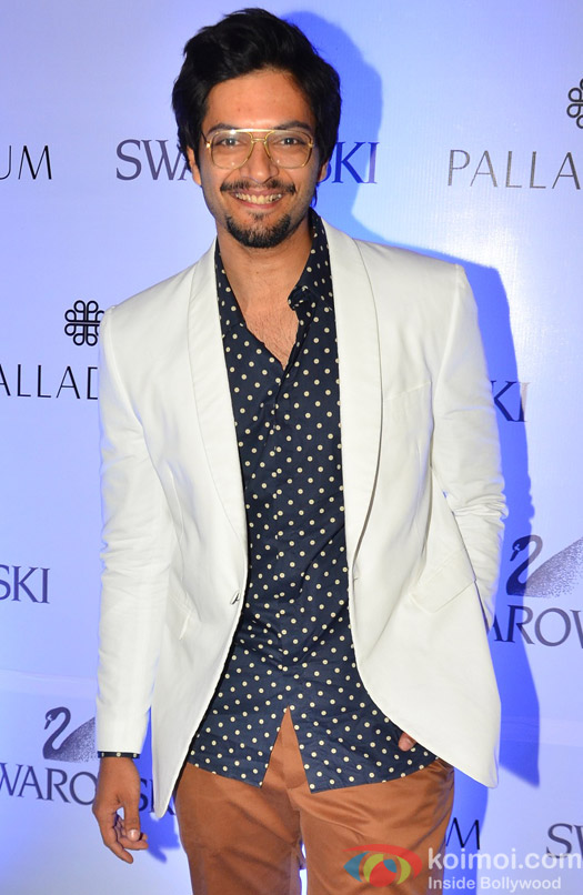 Ali Faizal during the launch of a art event by Swarovski