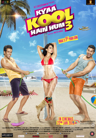 Kyaa Kool Hain Hum 3 Movie Poster