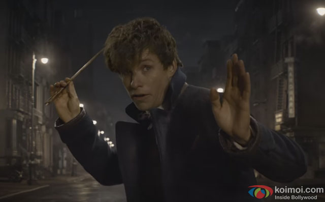 Fantastic Beasts and Where to Find Them Comic-Con