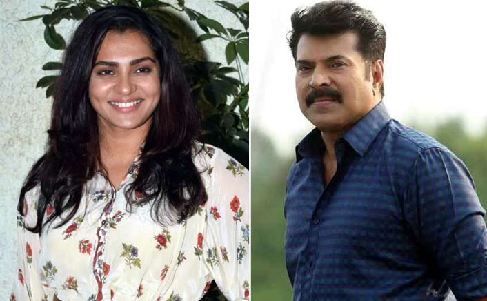 A Fan Of Superstar Mammootty For 'Cyber Bullying' Actress Parvathy