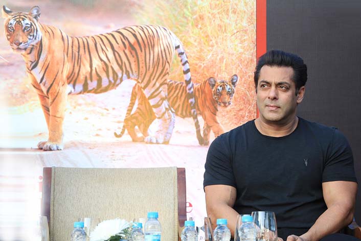 Salman Khan Says Wild Animals Are More 'Gentle' Than Humans