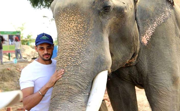 Actor Siddharth Malhotra visits Mathura elephant rescue centre