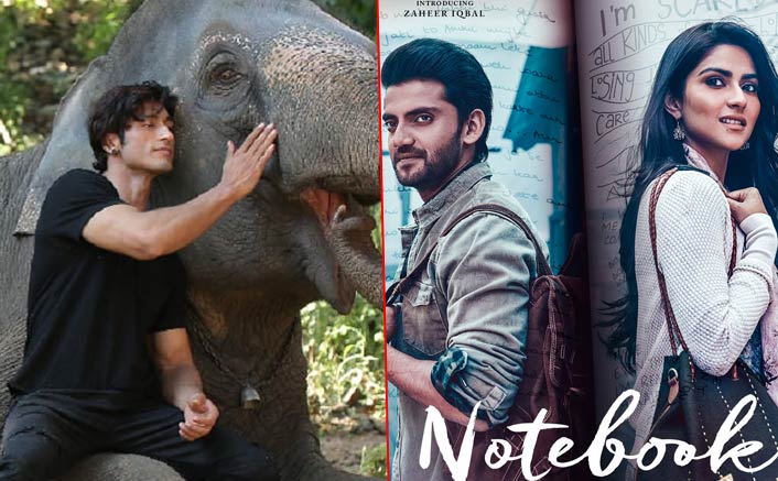 Box Office - Junglee and Notebook start on expected lines