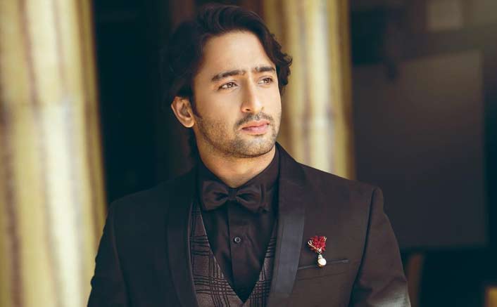Big filmmakers don't want TV face as lead: Shaheer