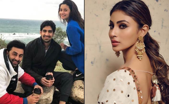 Mouni Roy was chosen in Brahmastra because she was a Naagin!