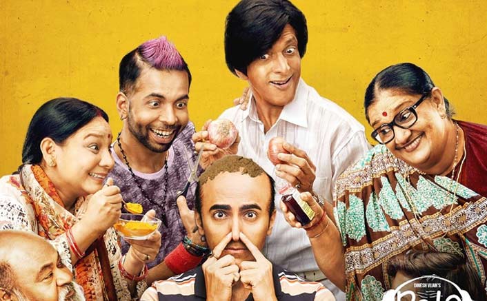 Bala Movie Review: Ayushmann Khurrana Gifts Us Our 'Best Hair Day'
