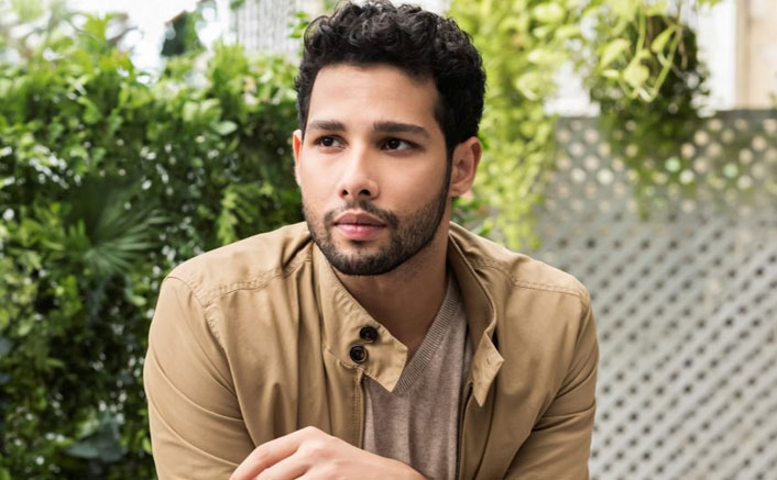Siddhant Chaturvedi: Now I am conscious of whatever I say