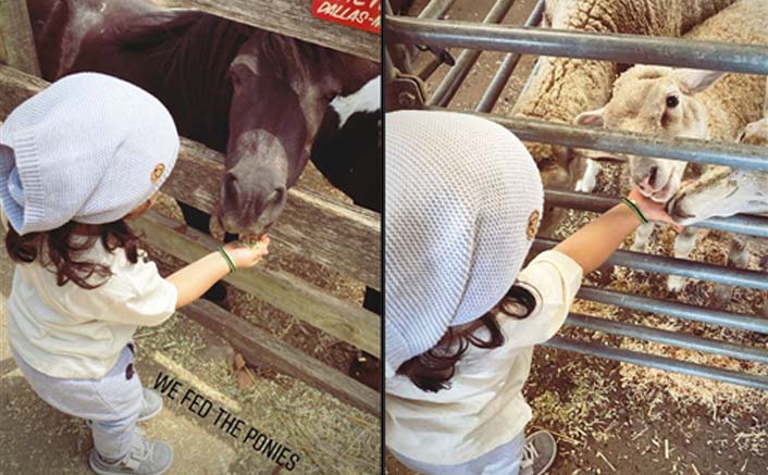 Soha-Kunal's daughter Inaaya feeds ponies, goats at farm
