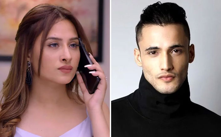 Bigg Boss 13: Asim Riaz VS Mahira Sharma - So Different, Yet Similar