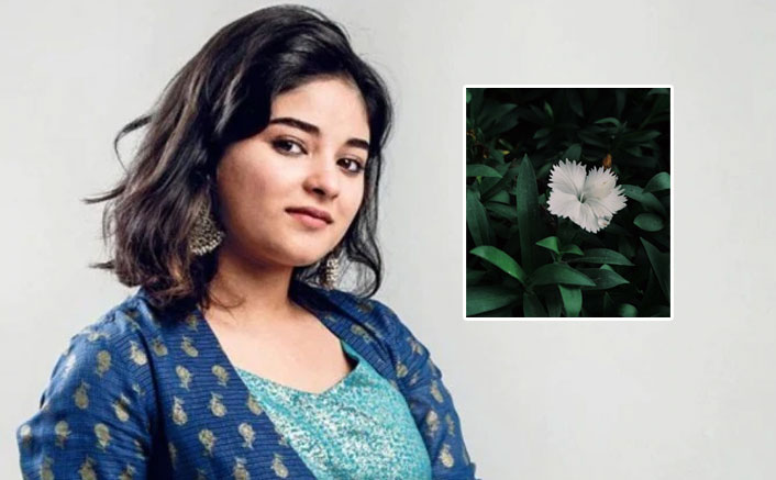 Dangal Actress Zaira Wasim On Kashmir Situation: " Why Do We Have To Live In World Where Our Lives & Wills Are Controlled?"