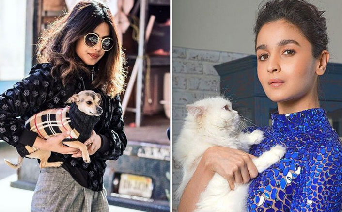 From Alia Bhatt's Edward Bhatt To Priyanka Chopra Jonas' Diana Chopra, These Bollywood Pets Are The Real Instagram Celebs