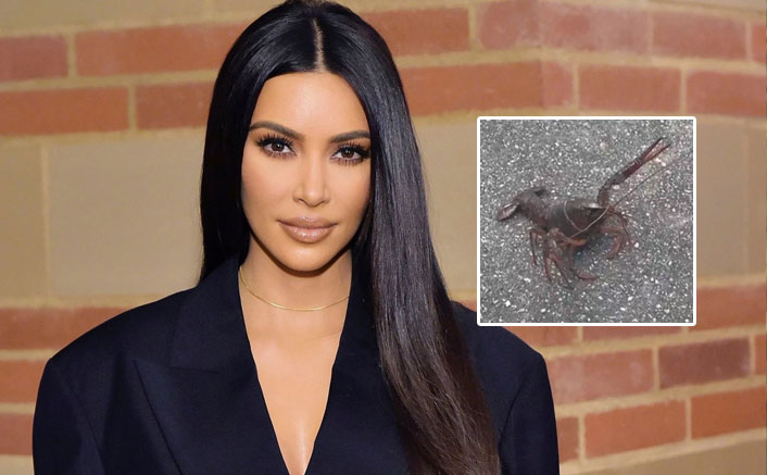 Kim Kardashian Spots A Live Lobster On Street; Troll Has A Super Mean Theory Terming Her 'Plastic'