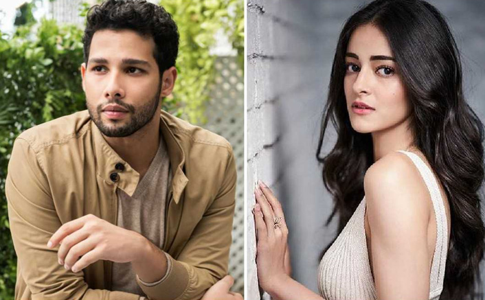 Siddhant opens up on his nepotism snide to Ananya Panday