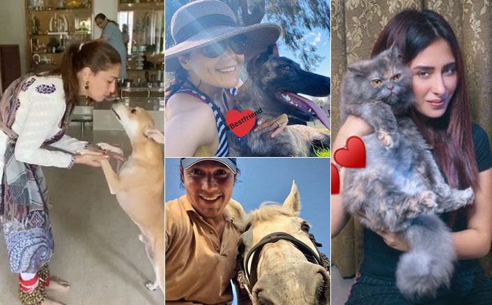 From Madhuri Dixit To Preity Zinta, Bollywood Stars Show Affection Towards Their Four Legged Friends On National Pet Day