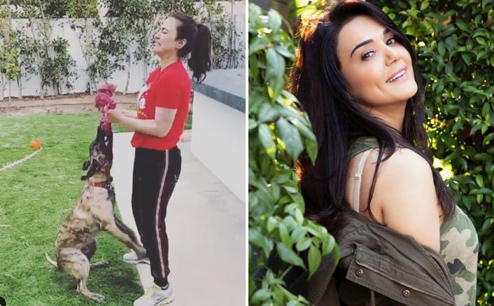 Preity Zinta uses pet pup Bruno as weight in funny workout video