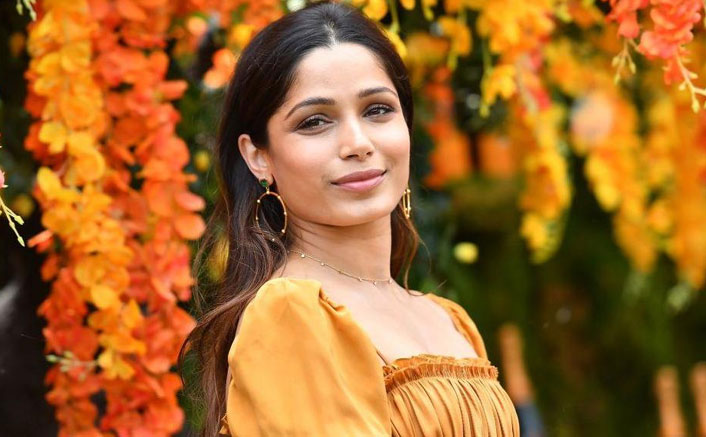 Freida Pinto: Animated world different from film, TV