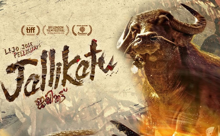 Koimoi Recommends Jallikattu Lockdown Watch Lijo Jose