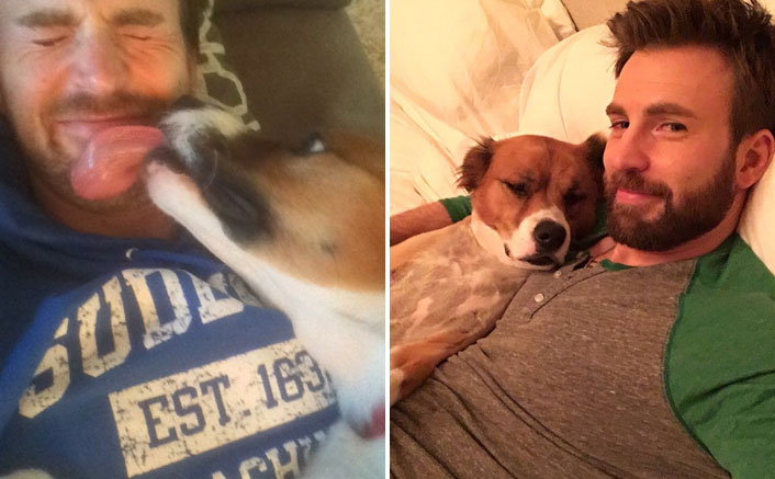 #MondayMotivation: Avengers: Endgame's Chris Evans & His Pet Dogder's Cute Pics & Videos Will Wipe Away Your Lockdown Blues!