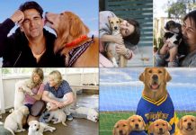 Must-watch titles starring our furry best friends