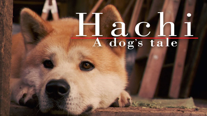 Hachi: A dog’s tale