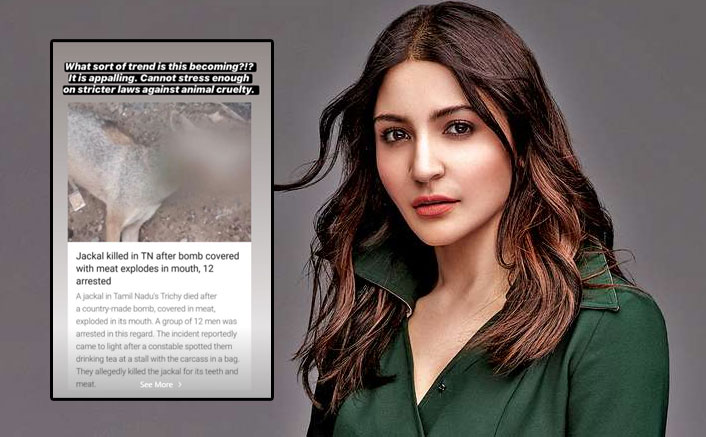 Anushka Sharma Reacts To Killing Of Jackal In Tamil Nadu: "What Sort Of Trend Is This Becoming?"