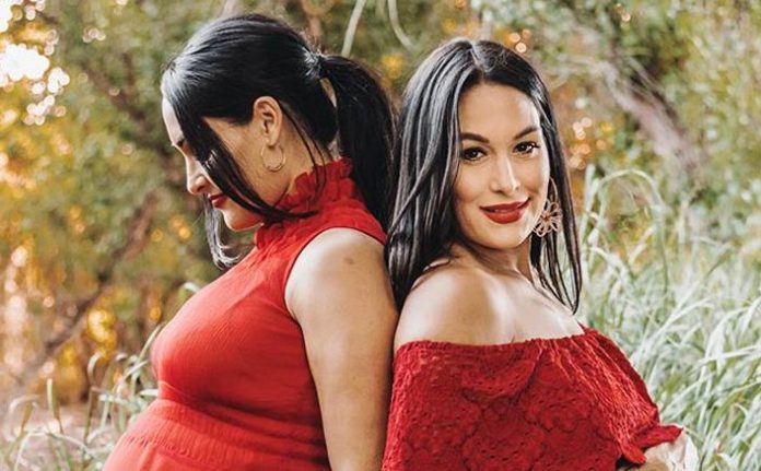 Former Wwe Divas Nikki Bella And Brie Bella Are Making Most Of Their Pregnancy And Their Fans Wouldn