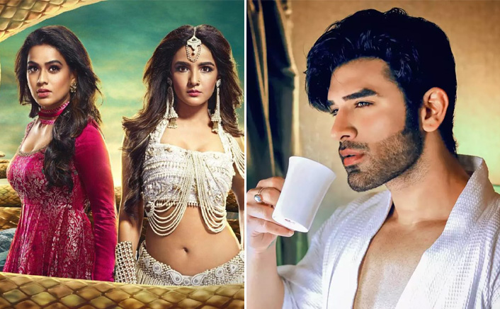 Naagin 5: Paras Chhabra Reveals He Has Been Approached For The Fifth Season