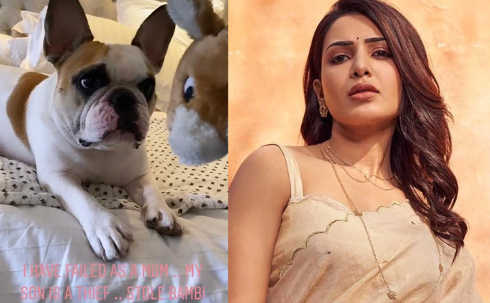 Here's Why Samantha Akkineni Feels She Has Failed As A Mom To Her...