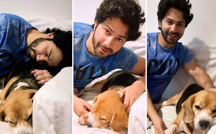 Varun Dhawan shares adorable picture with his puppy Angel