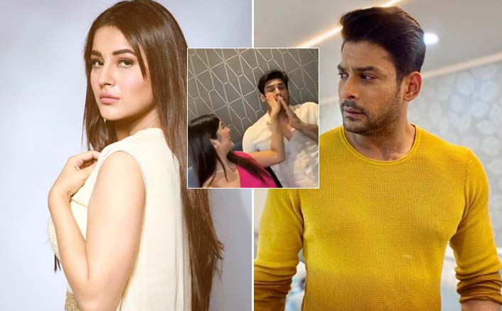 Bigg Boss 13s Shehnaaz Gill Slapping Siddharth Shukla During Instagram Live Video Goes Viral