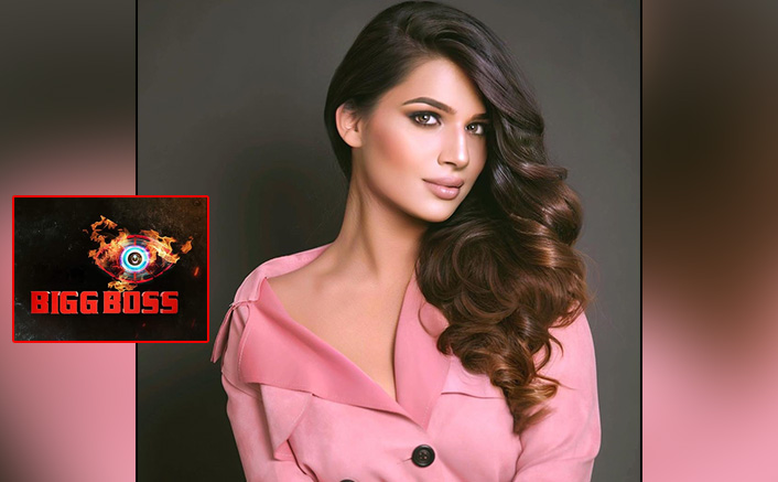 Bigg Boss 14: Kumkum Bhagya Actress Naina Singh Refutes Claims Of Entering The Salman Khan Show