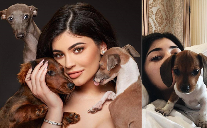 Kylie Jenner Has 8 Doggos & An EXCLUSIVE Dog Mansion For Them; Everything You Need To Know! - Celebrity Pals