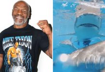 Mike Tyson Knocks A Shark To Sleep In Discovery Channel’s Tyson VS. Jaws: Rumble On The Reef
