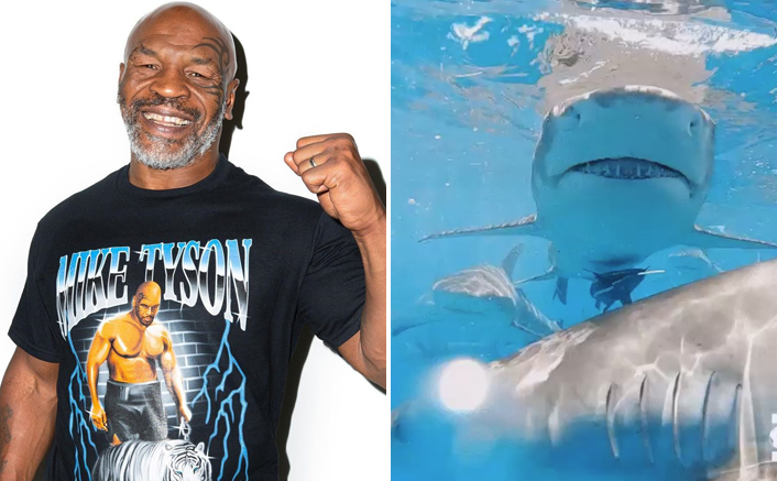 Mike Tyson Knocks A Shark To Sleep In Discovery Channel’s Tyson VS. Jaws: Rumble On The Reef 