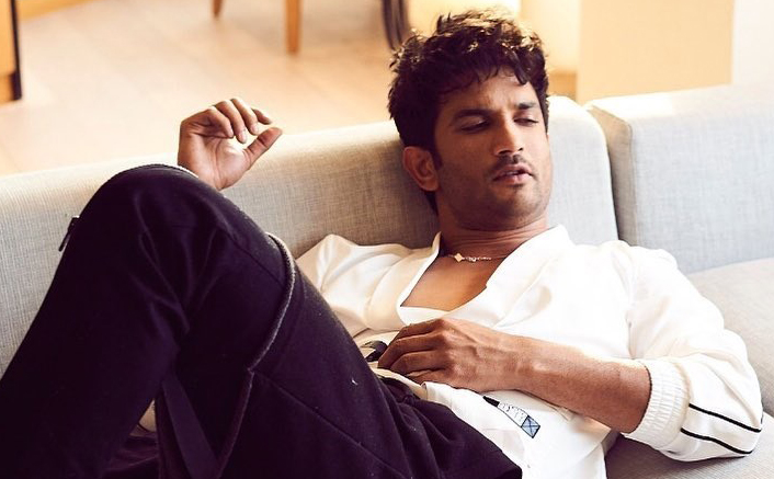 Sushant Singh Rajput Planned To Meditate From 29th June REVEALS Sister; Netizens Question The Suicide Theory Yet Again
