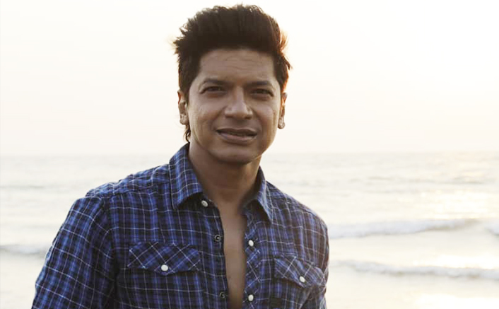 Crucial to support folk artists: Shaan