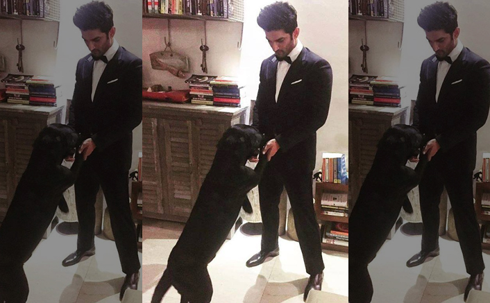 Sushant Singh Rajput Sent Money For His Dogs' Expenses Before His Death!