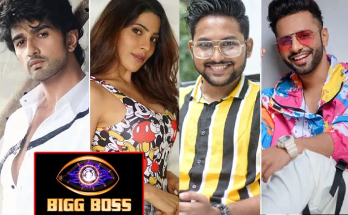 Bigg Boss 14: Nishant Singh Malkani Calls Nikki Tamboli ‘Sadak Chaap’; Jaan Kumar Sanu’s Mother SLAMS Rahul Vaidya’s Nepotism Remarks