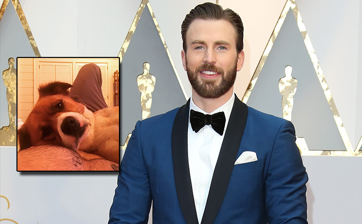 Chris Evans On His Dodger Tattoo, "I'll Never Regret That" - WATCH